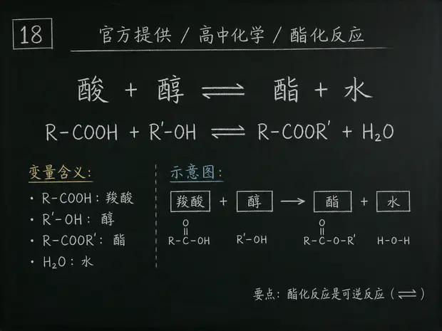 高中化学公式合集 11 - [官方提供] 高中化学公式 18：酯化反应